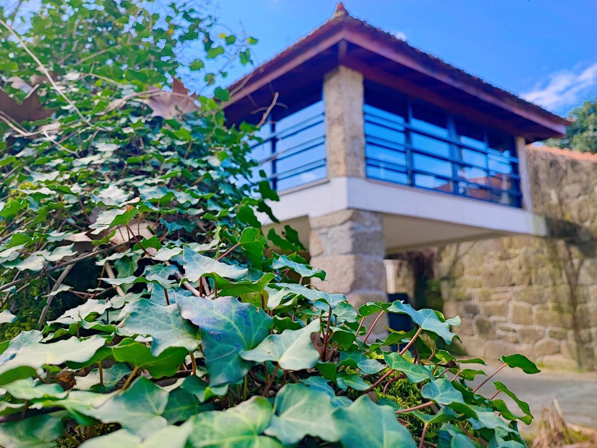 Agroturismo Quinta De Travancela 아마란테 외부 사진