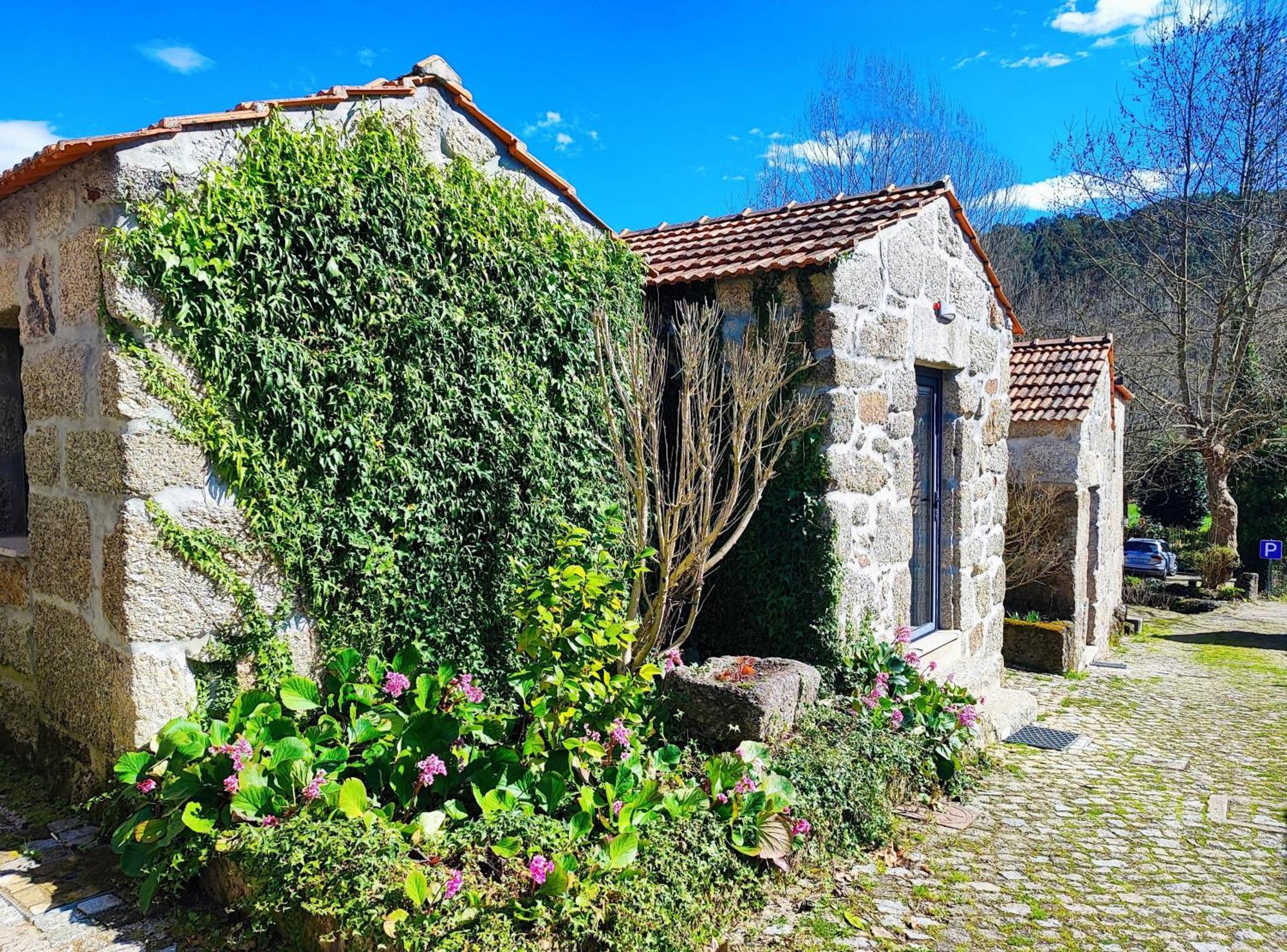 Agroturismo Quinta De Travancela 아마란테 외부 사진