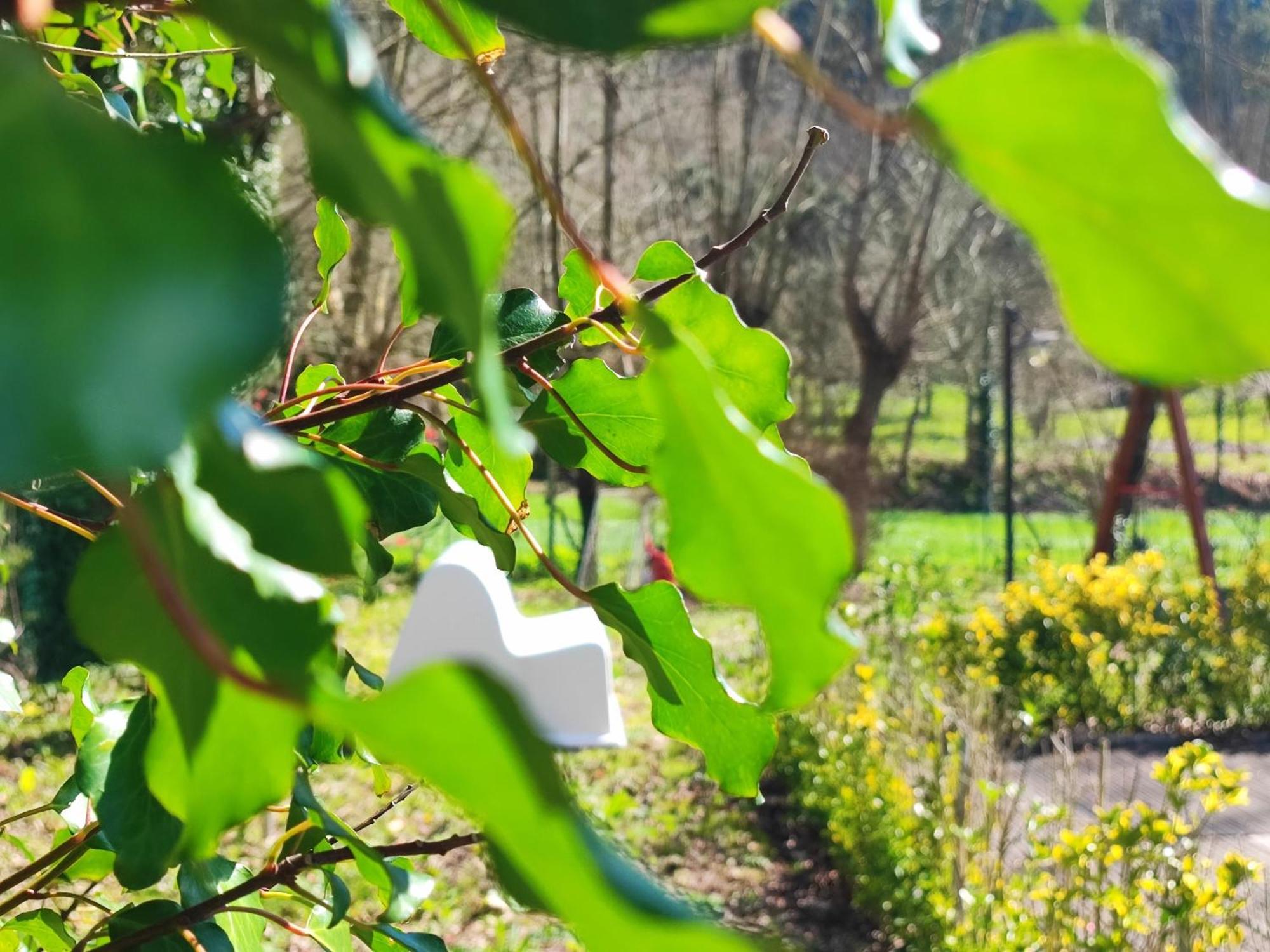 Agroturismo Quinta De Travancela 아마란테 외부 사진